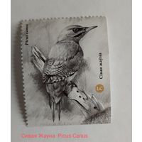 Купон, Птицы