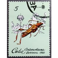 Марка Куба 1980 год Насекомые