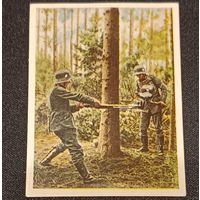 Сигаретный вкладыш. Вермахт. Германия. 1930-40 гг.