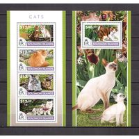 Соломоновы острова 2015 Фауна домашние кошки - 1 лист + 1 блок MNH**
