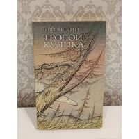 Тропой Кулика