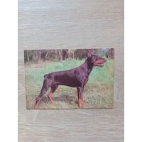 Календарик 1993