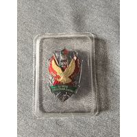 Значек 100 лет органам пограничной службы