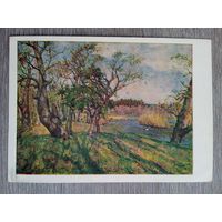 1955. Глущенко. Дубы весной