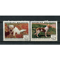Малагасийская республика - 1974 - Собаки - [Mi. 726-727] - полная серия - 2 марки. MNH.  (Лот 44JC)-TG3P53