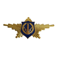 Знак Рота Почетного Караула РВСН