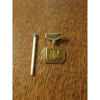 Знак. ВДНХ СССР. Участнику творческого показа.