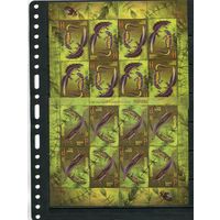 Беларусь 2012. Фауна. Тритоны. Два малых листа