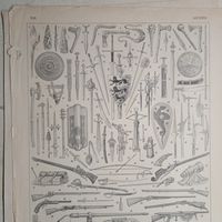 ОРУЖИЕ.  Энциклопедическая гравюра.  кон.19в. 31х24см.  Франция .
