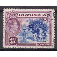 23.BrKCI. Великобритания. Колонии. Доминика. Местные мотивы. Георг VI. 1947 г. 3 1/2P. Mi.#99.