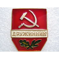 Дружинник, лмд