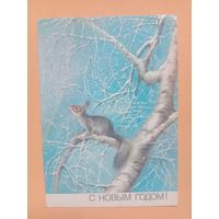 Открытка Исаков 1988 чистая