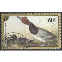 Монголия. Птицы. Американский красноголовый нырок. 1987г. Mi#1807.