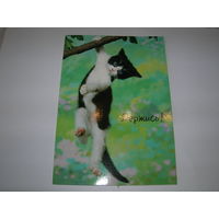 Держись Hallmark двойная подписана