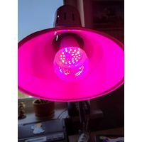 Фито лампа  для растений 11Вт, Е27