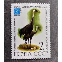 Марка СССР 1982 год Птицы