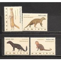 ФФ2 Намибия 2012 Фауна