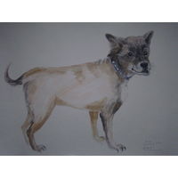 Графика ."Вера", 2014.