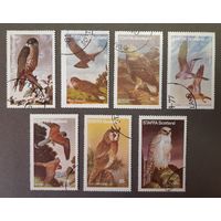 Распродажа с 1 рубля! Фауна. Шотландия. Стаффа. 1977 год. Птицы (7 марок)