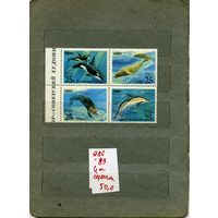 СССР, 1990 ,  МОРСКИЕ ЖИВОТНЫЕ  СОВМ ВЫП СССР-США,   СЦЕПКА,  4м , ( на "СКАНЕ" справочно приведены номера и цены по ЗАГОРСКОМУ)