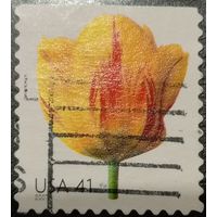 США 2007. Флора. Тюльпан