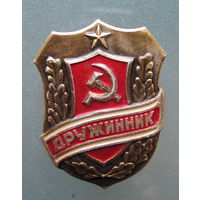 Дружинник.
