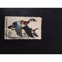 США  1968  утки