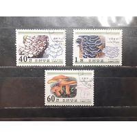 Корея. 1999 год. Флора. Грибы (977)