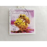 Германия  2010 пчела
