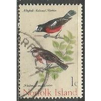 Норфолк. Птицы Петроики. 1970г. Mi#105.