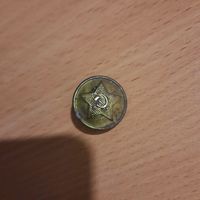 Пуговица большая СА СССР (латунь)