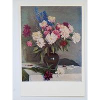 1953. Щербаков. Пионы