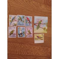 Кампучия блок и марки 1989 г. Попугаи