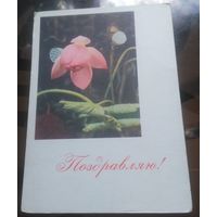 1964 год А.Штеренберг Поздравляю