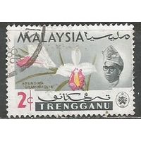 Тренгану. Орхидея Арундина. 1965г. Mi#88.