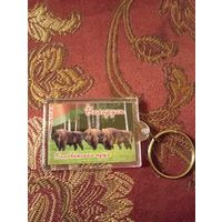 Брелок Беловежская пуща