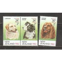 ФФ1 Новая Зеландия 1982 Собаки