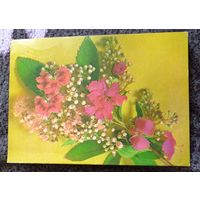 Поздравляю!