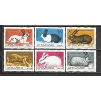 ФФ2 Болгария 1986 Кролики