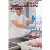Контрольная диплом курсовая реферат по мясной промышленности