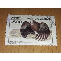 Израиль 1985 Фауна. Библейские птицы. Белоголовый сип