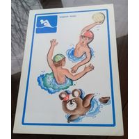 Водное поло Олимпийский медведь