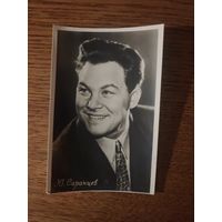 Артисты Саранцев