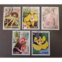 Куба. 1980 год. Цветы. Флора. 5 марок