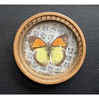 Бабочка. Винтаж декор подставка из бамбука и стекла / Высота: 2 см. Диаметр: 8,7 см.