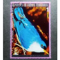 Марка Экваториальная Гвинея 1976 год Птицы