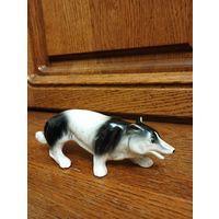 Волк. Англия.