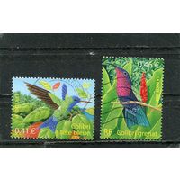 Франция. Фауна. Птицы