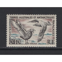 ТААФ Французские Антарктические Территории 1959** Птицы Большой Поморник Mi#15
