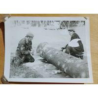 Фото в коллекцию